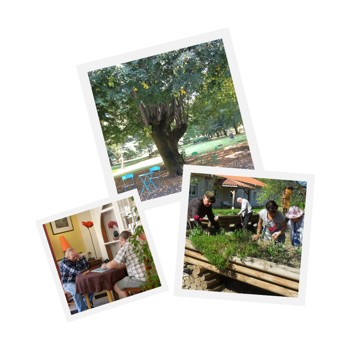Jardin de l'Ehpad, arbre du jardin et deux personnes âgées faisant un jeu de société sur la table d'une pièce de vie