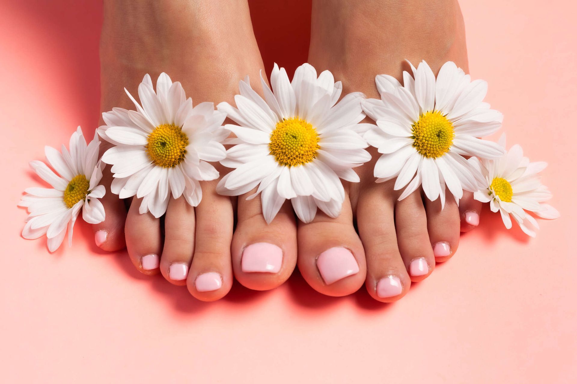 Los pies de una mujer con margaritas sobre un fondo rosa.