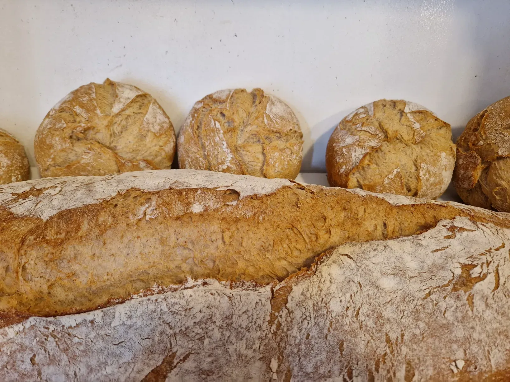 Pan y panecillos recién horneados, vista superior. Panes crujientes con textura visible, espolvoreados con harina.