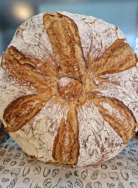 Hogaza redonda de pan artesanal, ranurada en forma de estrella y espolvoreada con harina.