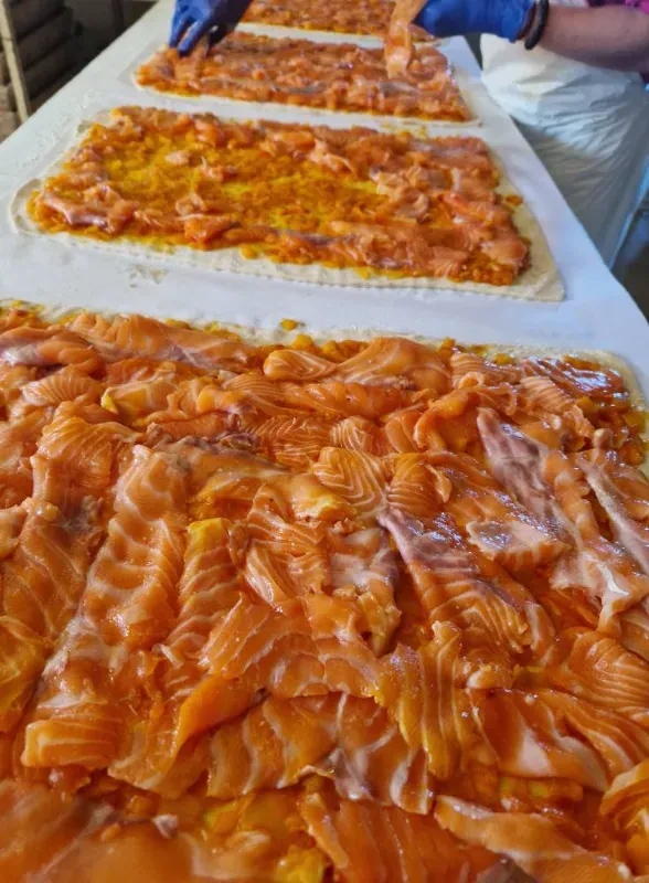 Preparando salmón en mesas largas, con manos en guantes azules acomodando el pescado.