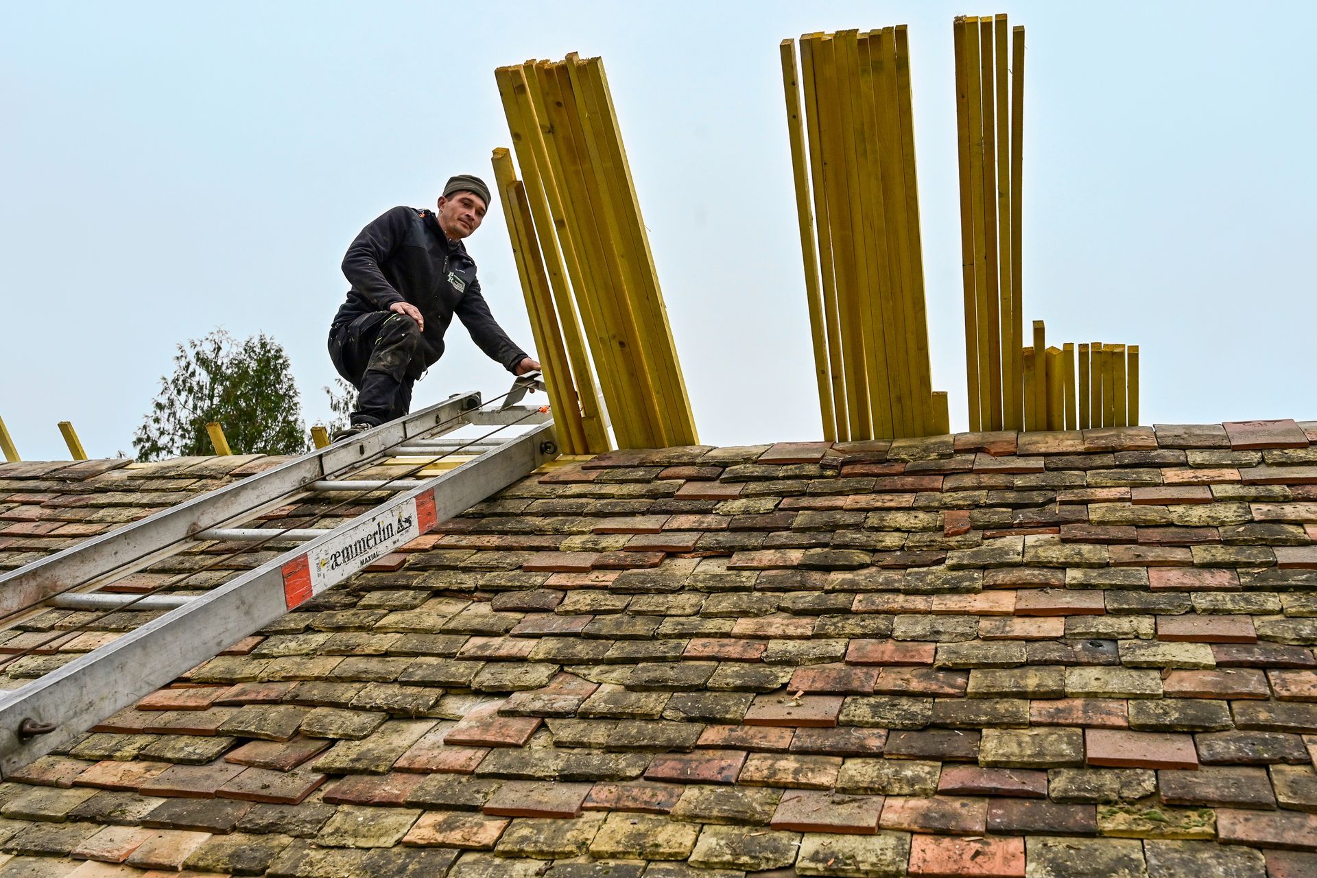 Artisan sur une échelle sur un toit en tuile avec des poutres en bois en arrière-plan