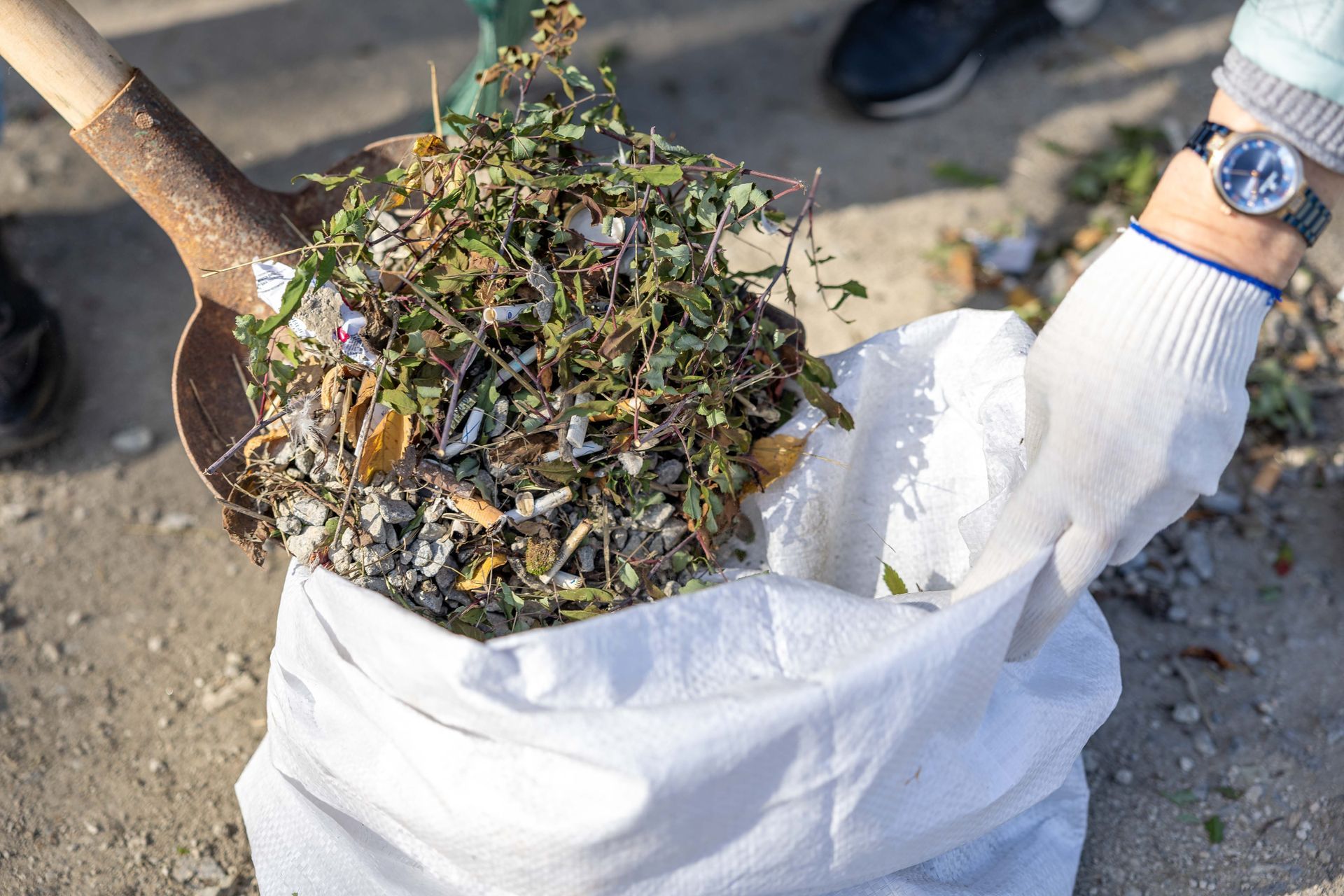 Des mains gantées tenant un sac blanc de déchets verts avec une pelle pleine de feuilles et de débris.