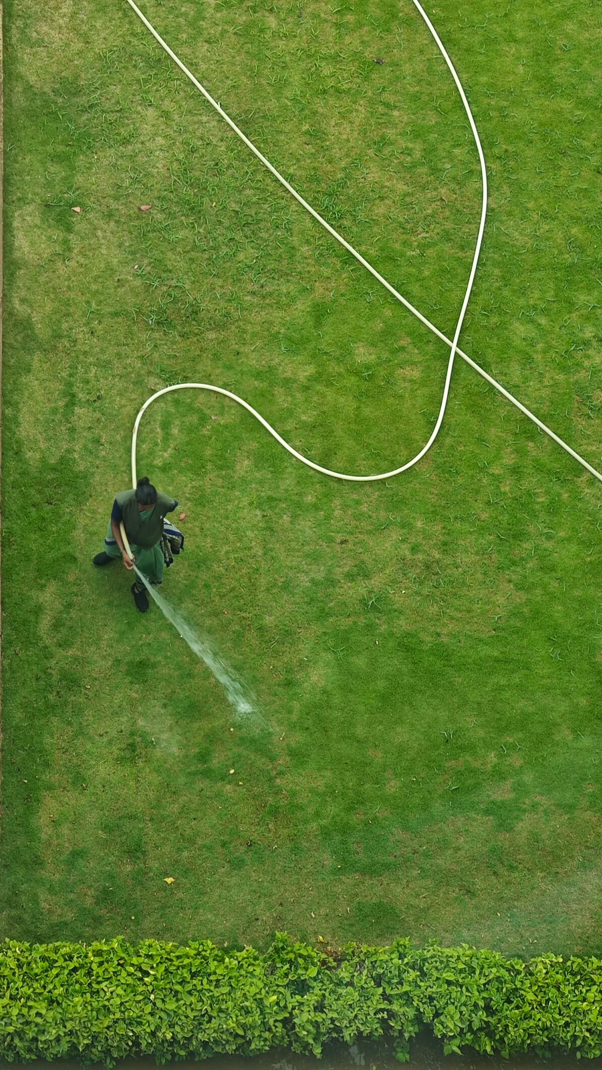 Vue aérienne d'une personne arrosant une pelouse avec un tuyau d'arrosage.