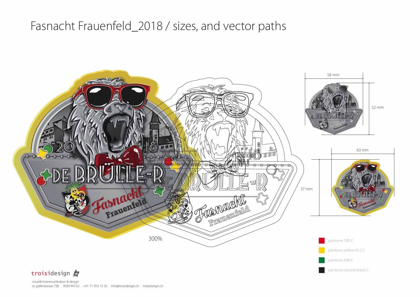 Fasnacht Frauenfeld 2018