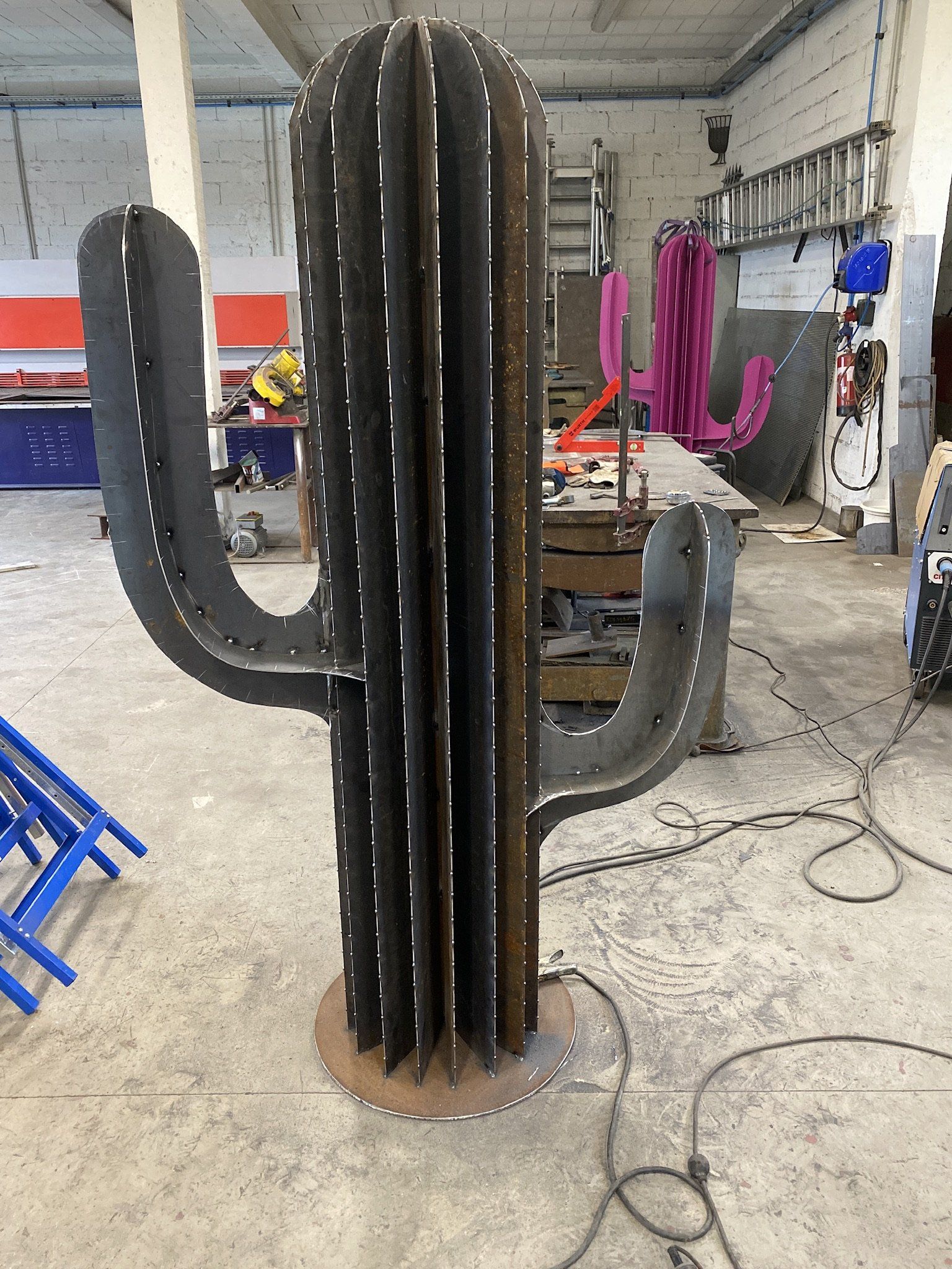 Cactus en décoration