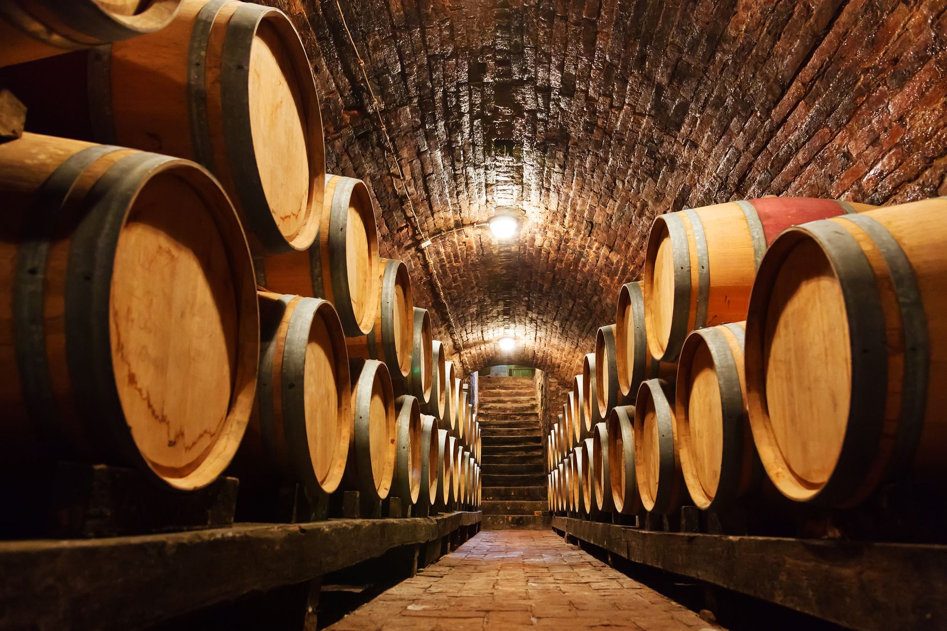 Des rangées de tonneaux de vin en bois dans une cave voûtée à l'éclairage chaleureux.