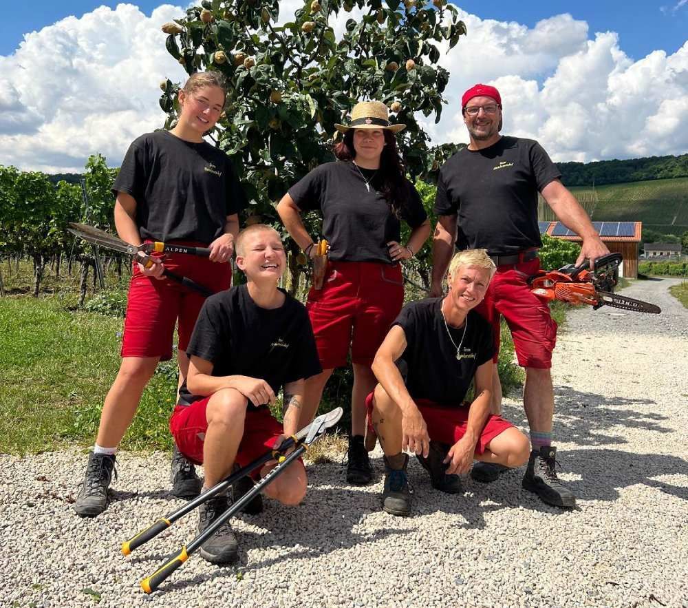 Fünf Personen in schwarzen Hemden und roten Shorts posieren mit Rebscheren in einem sonnigen Weinberg.