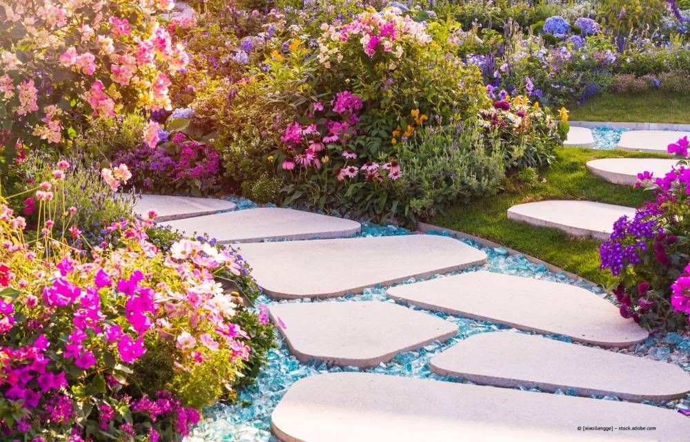 Trittsteinpfad im Garten, gesäumt von leuchtend pinken und violetten Blütensträuchern