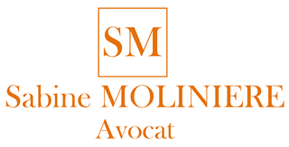 Logo de Maître Sabine MOLINIERE