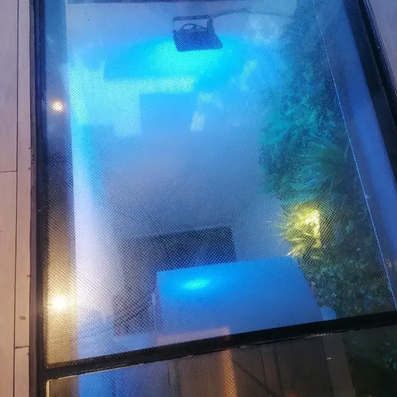 Un panel de cristal en el suelo permite ver el interior de una habitación iluminada con luz azul, con una planta verde