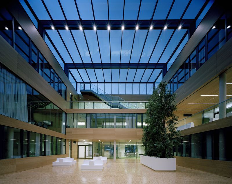 Ein großes Gebäude mit einem Glasdach und einem Baum in der Mitte