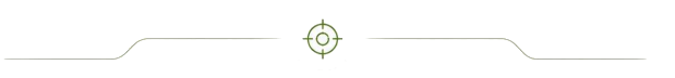 Dünne, hellgraue horizontale Linie mit einem kleinen grünen, zielscheibenartigen Symbol in der Mitte nahe dem oberen Rand.