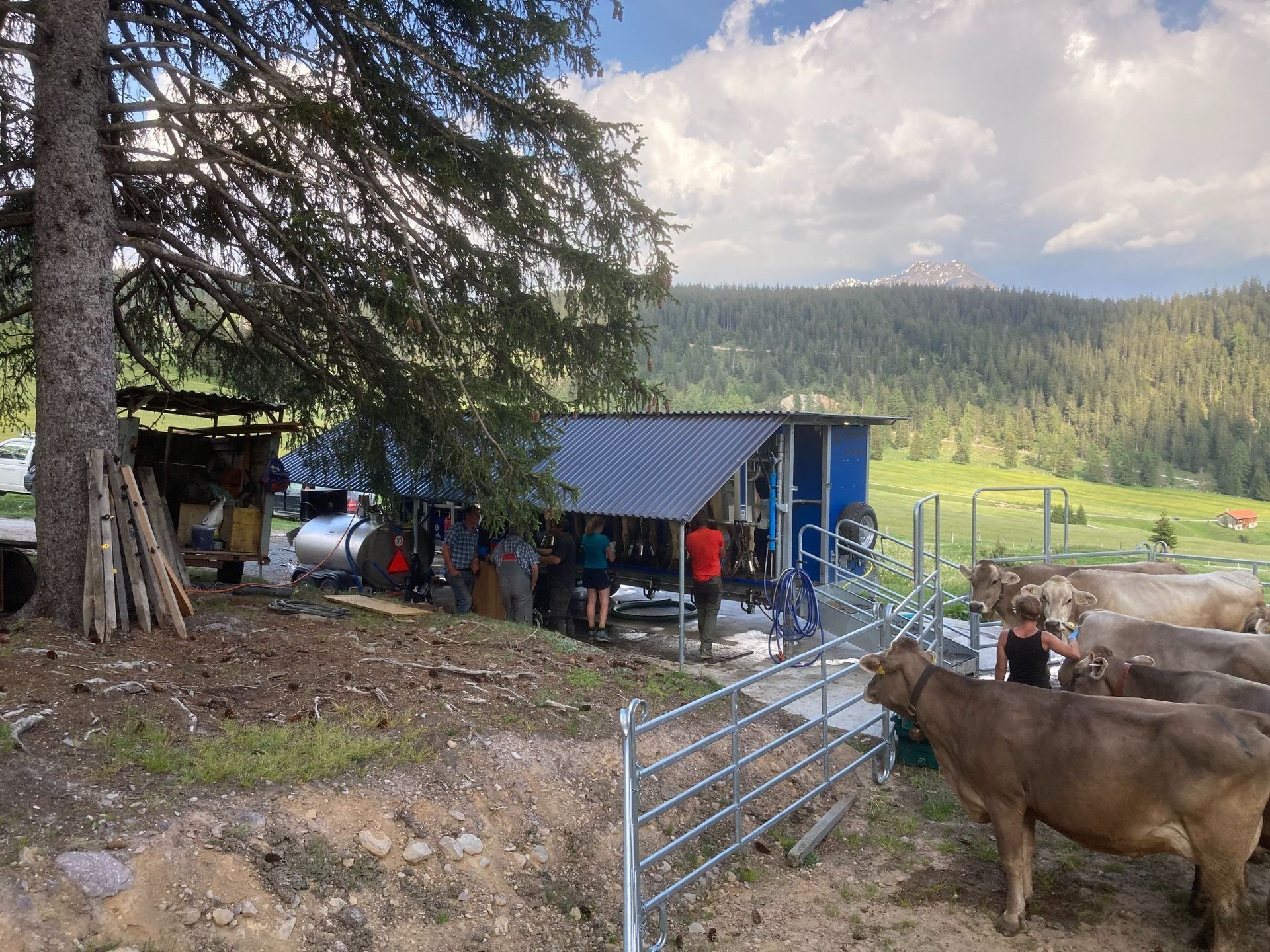 Stalleinrichtungen - Sonder SA - Mons