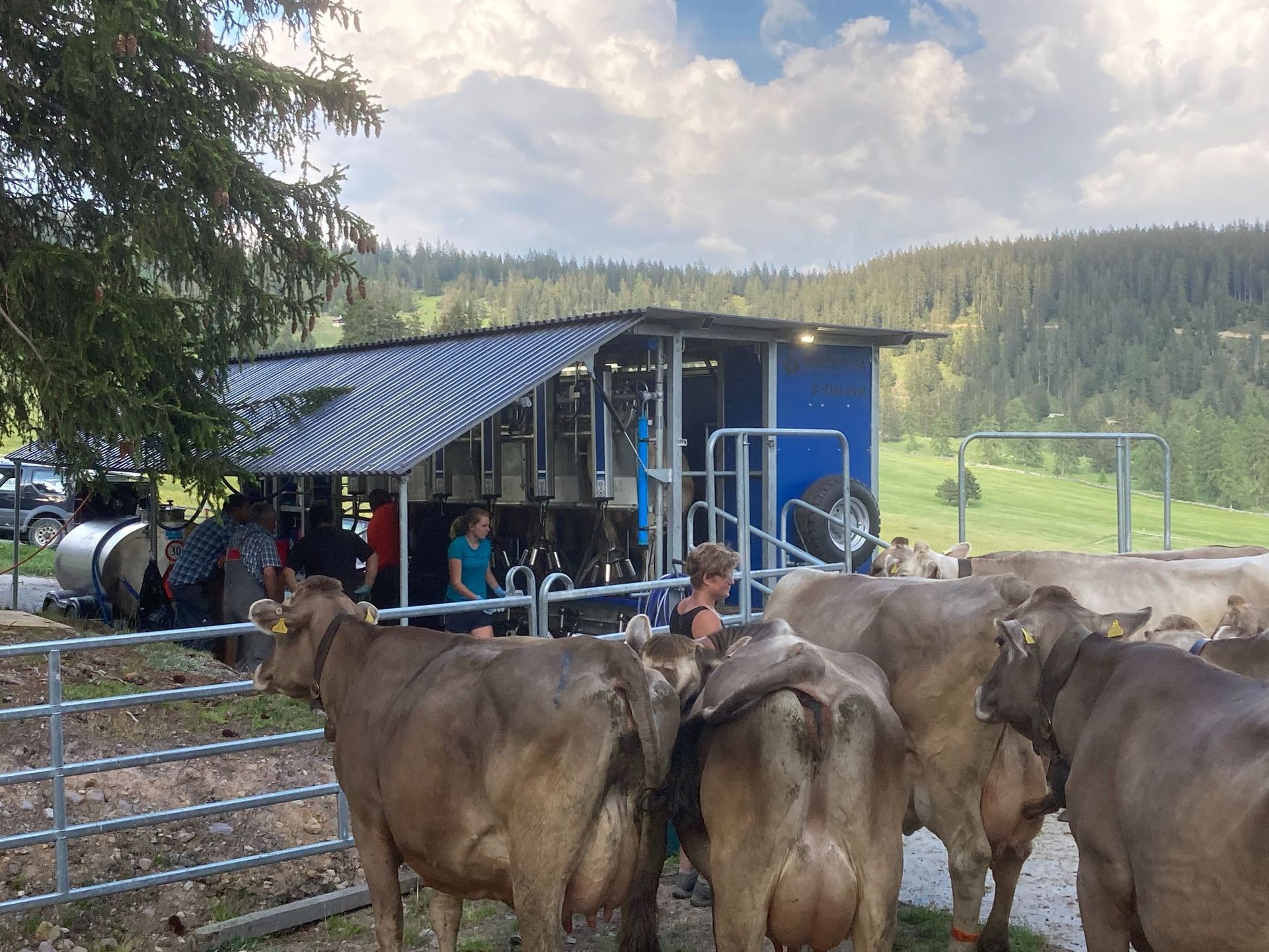 Stalleinrichtungen - Sonder SA - Mons