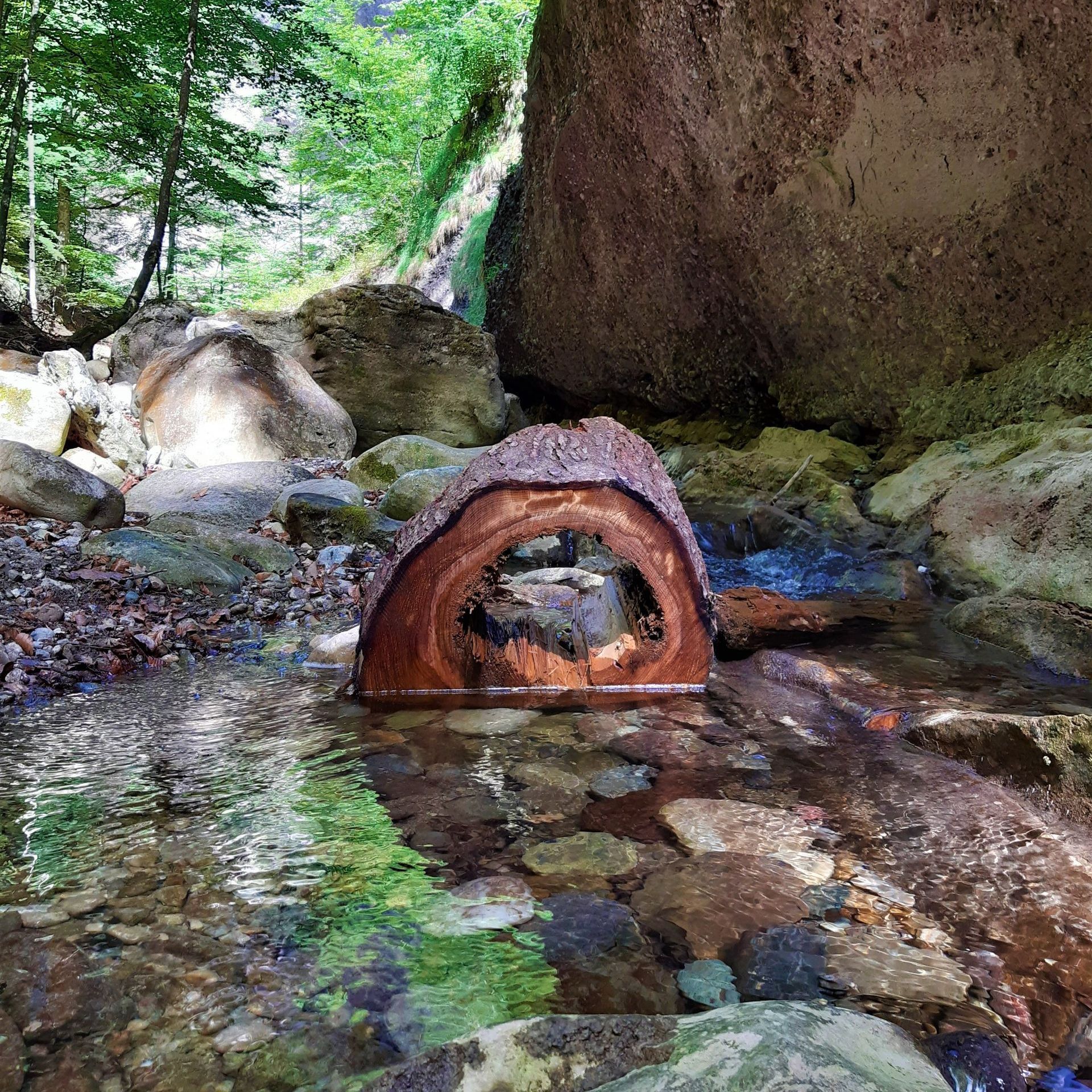 Ein Baumstamm liegt mitten in einem Bach.