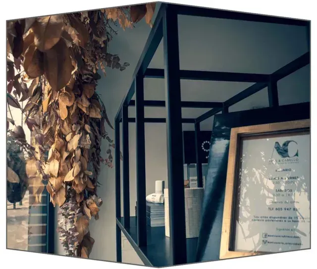 Estantes negros con documentos enmarcados en dorado, hojas secas colgando.