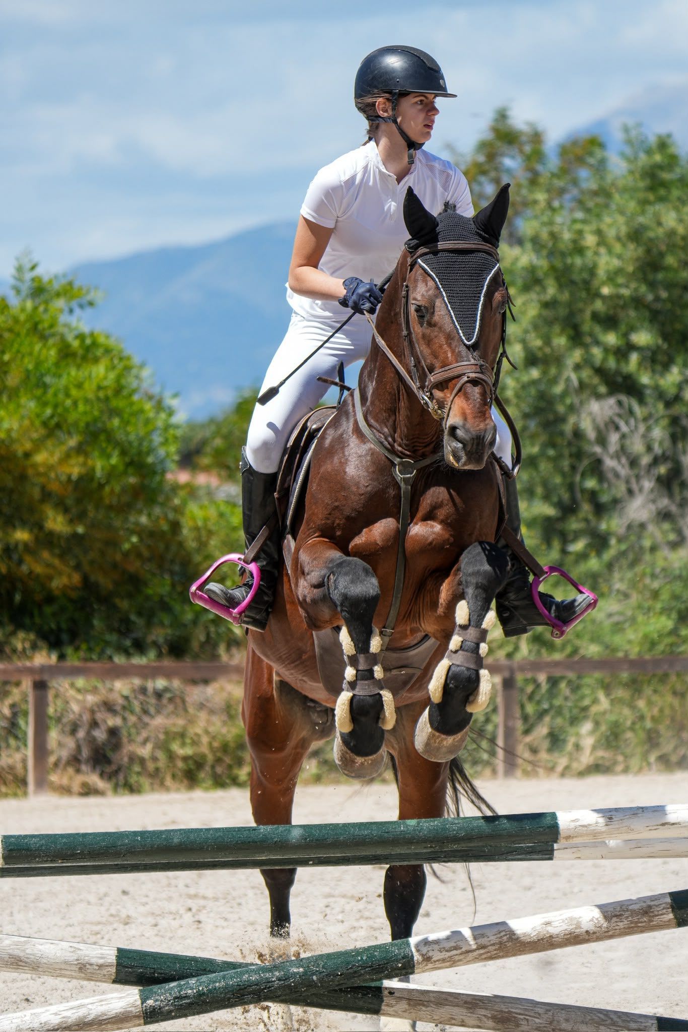 Caballo y jinete superando un obstáculo en una pista ecuestre al aire libre, con otra persona observando cerca.