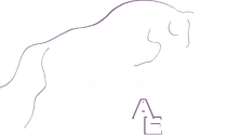 Dibujo lineal minimalista de un gato de pelo largo con una silla peque&ntilde;a debajo sobre un fondo blanco.