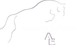 Dibujo lineal minimalista de un gato de pelo largo con una silla peque&ntilde;a debajo sobre un fondo blanco.