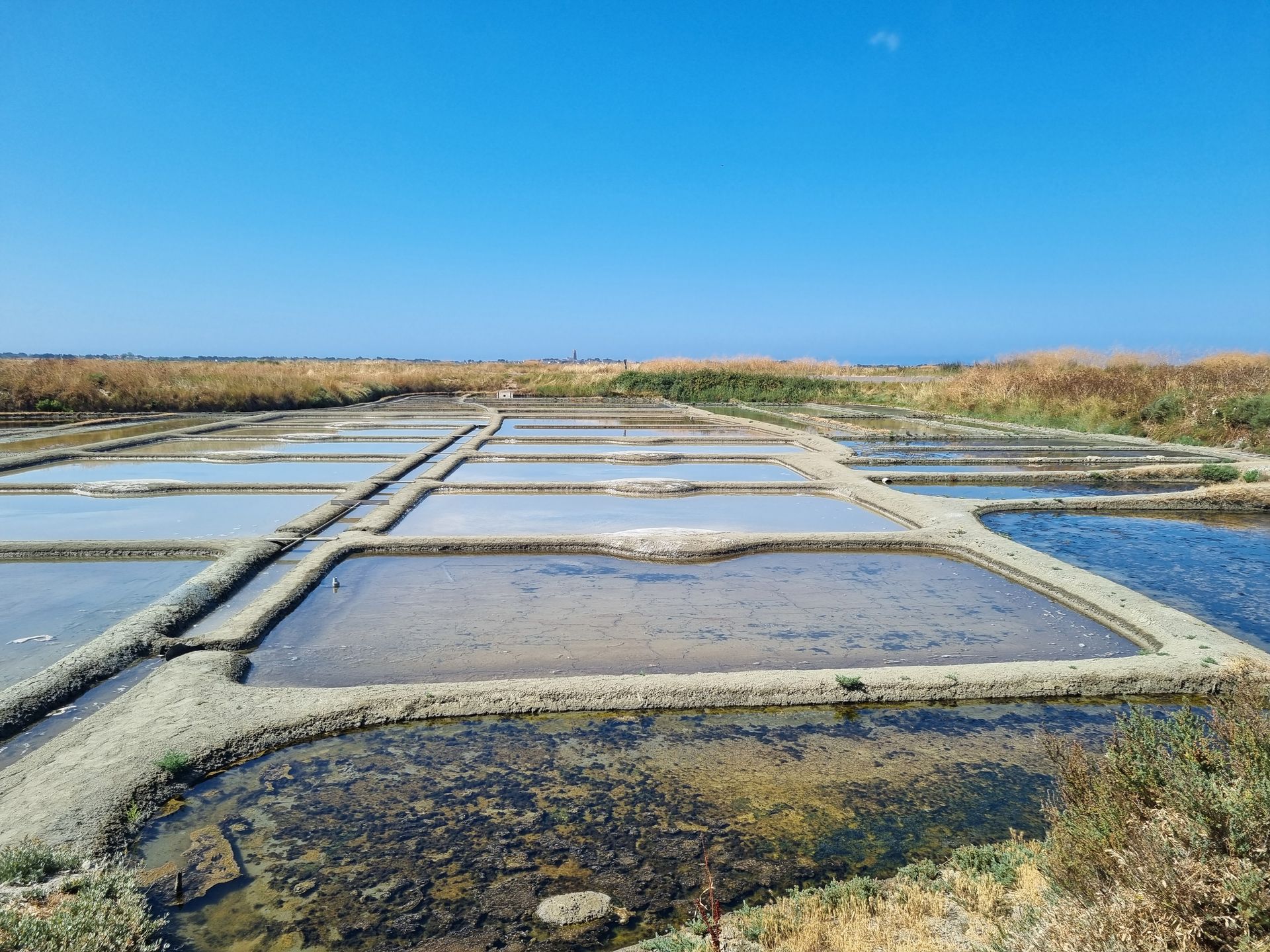 Marais salants de Guérande