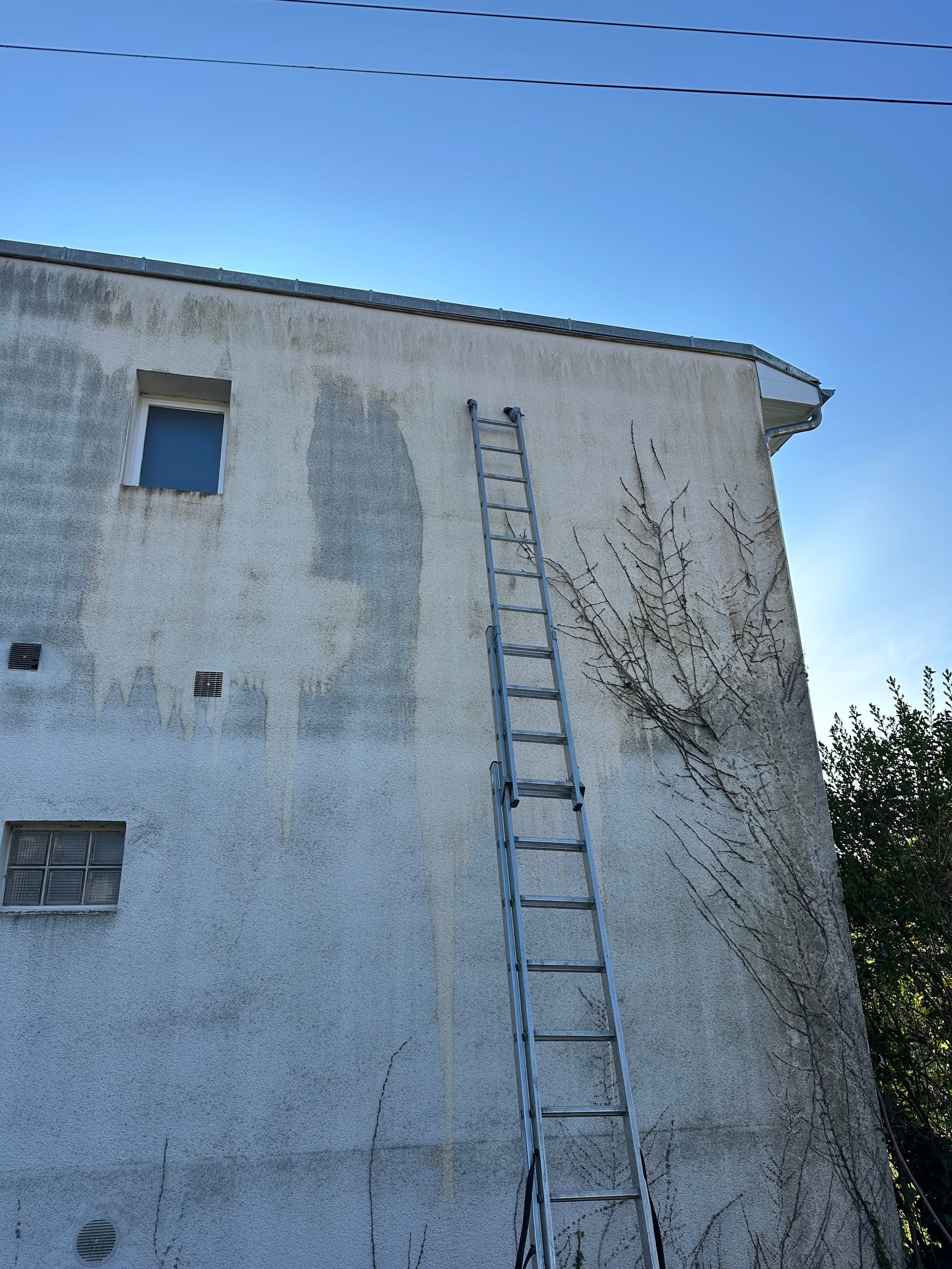 Un haut mur blanc d'immeuble avec une échelle appuyée contre un toit sous un ciel bleu.