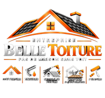 Lien vers la page accueil