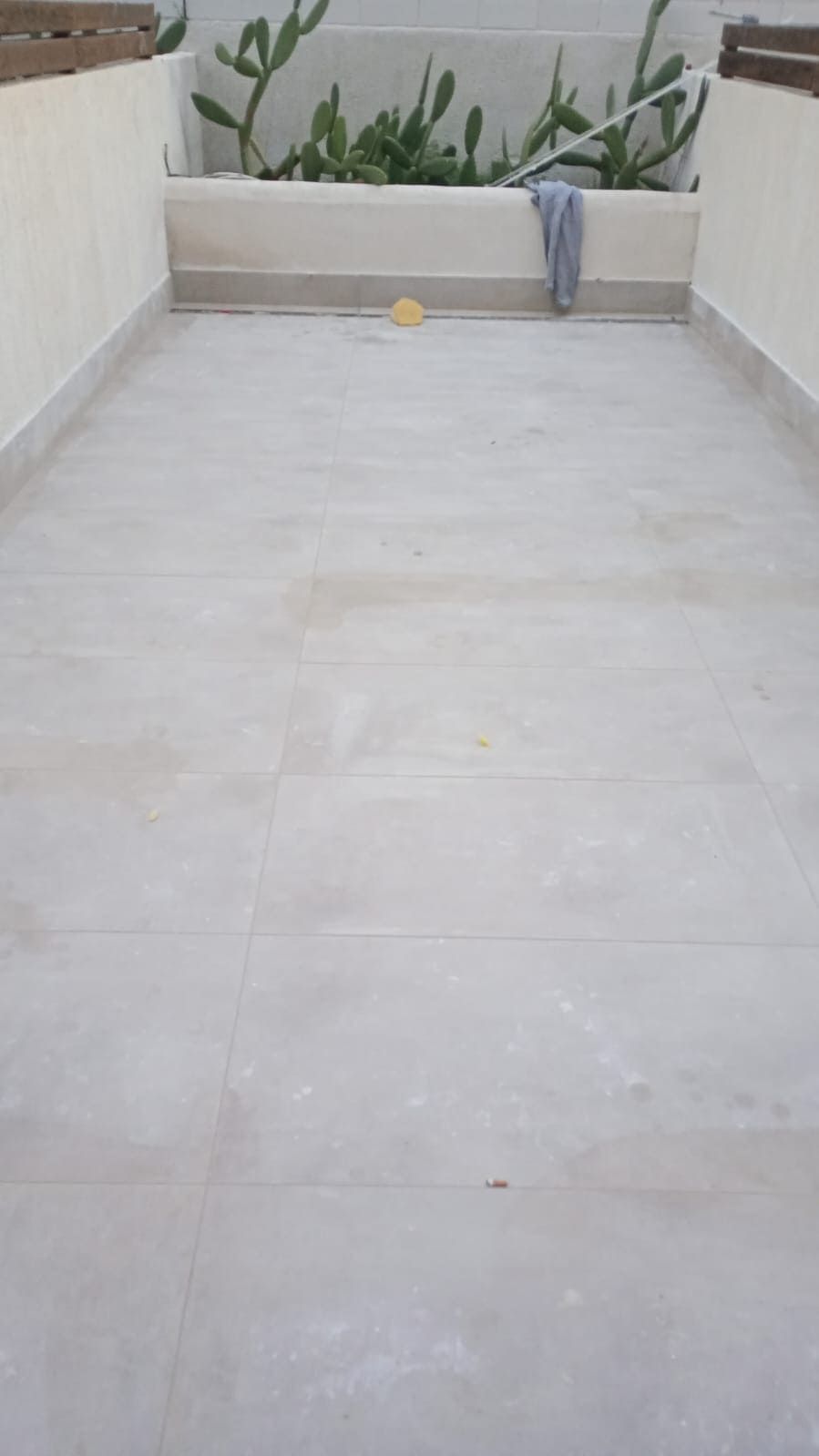 Un suelo de baldosas blancas con un cactus al fondo.