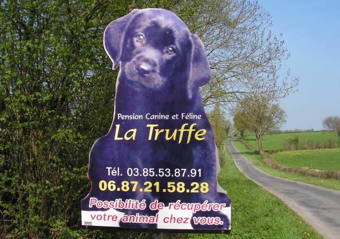 Pension canine La Truffe à Saint-Agnan 71