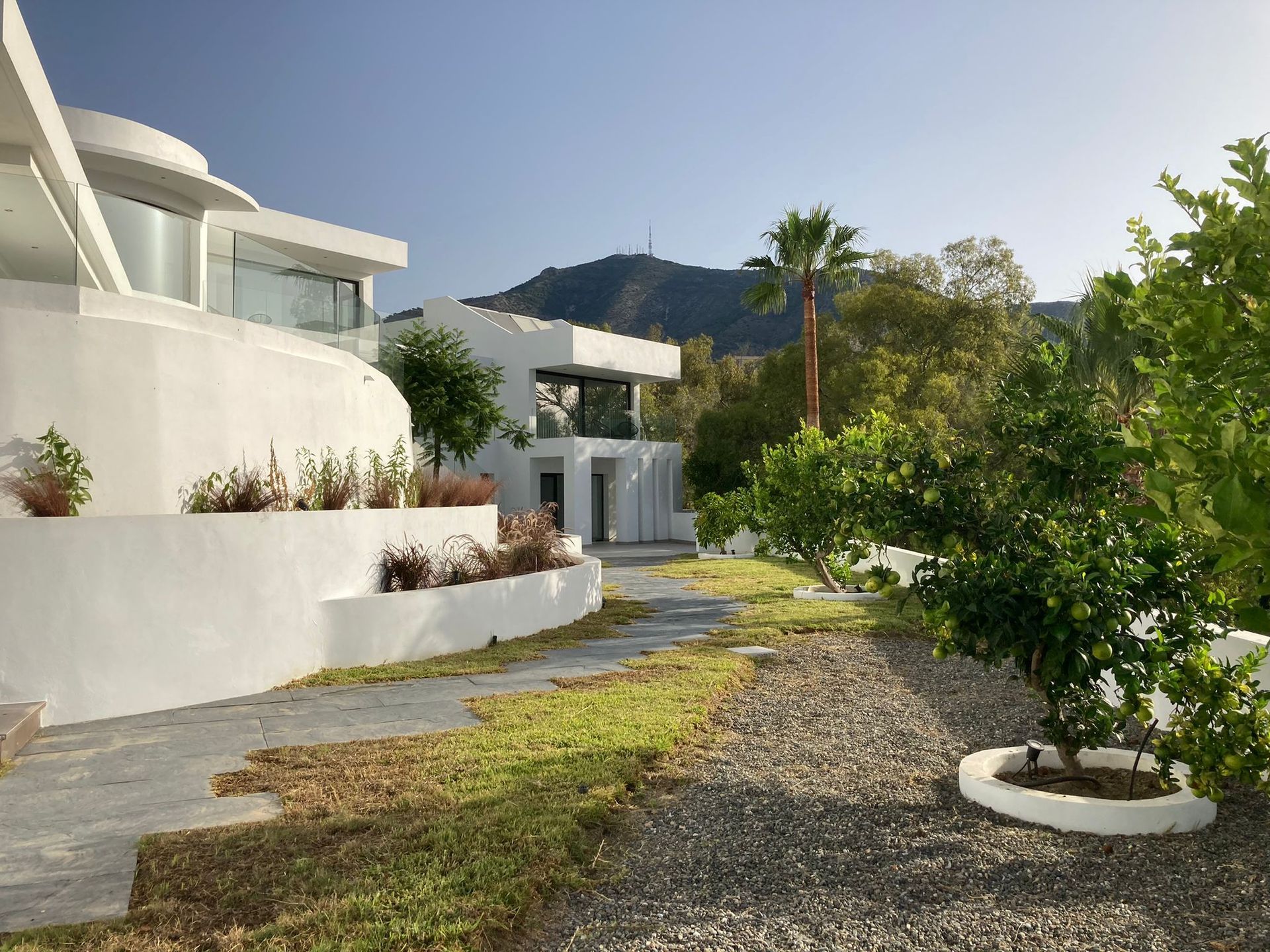 Una casa blanca con un árbol delante