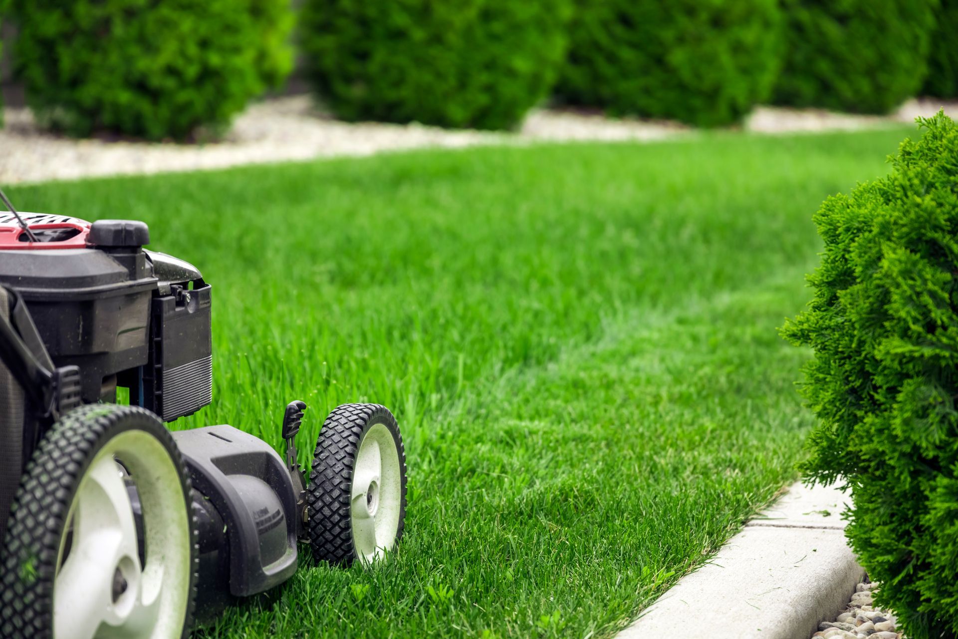 Tondeuse à gazon sur une pelouse, à côté d'une haie et d'une bordure taillées, dans un jardin.