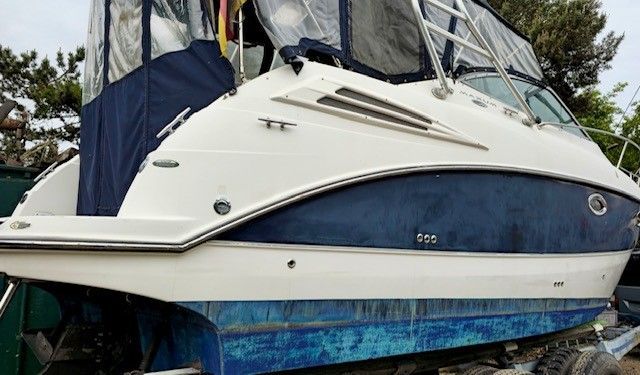 Auf einem Anhänger liegt ein weiß-blaues Boot.