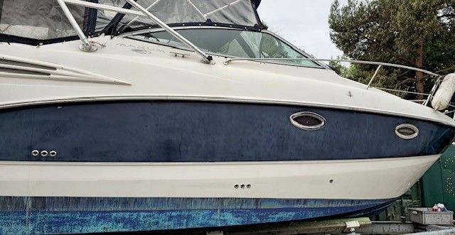 Ein weiß-blaues Boot liegt auf einem Dock.