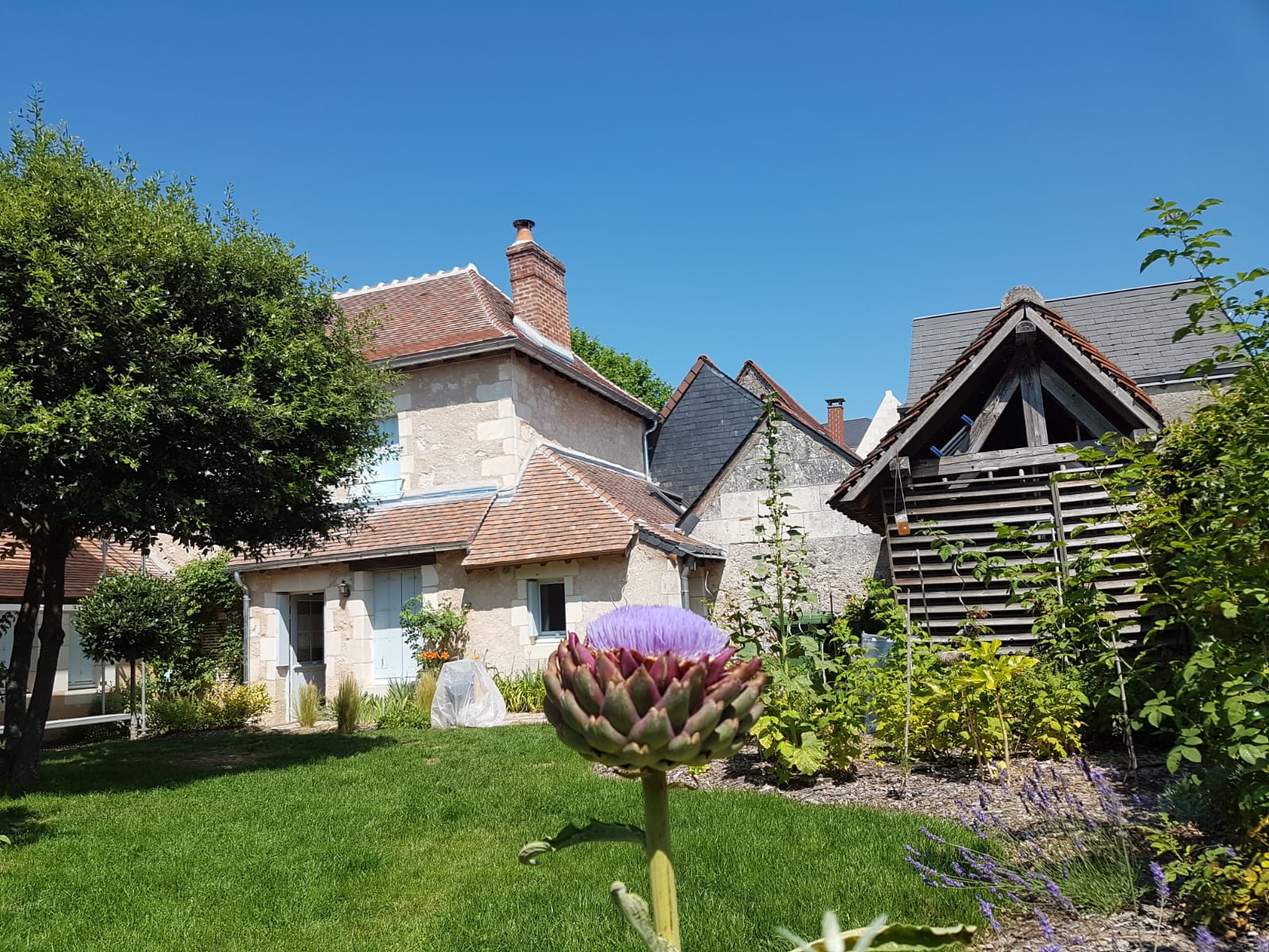 Maisons avec toits en pente et jardin fleuri