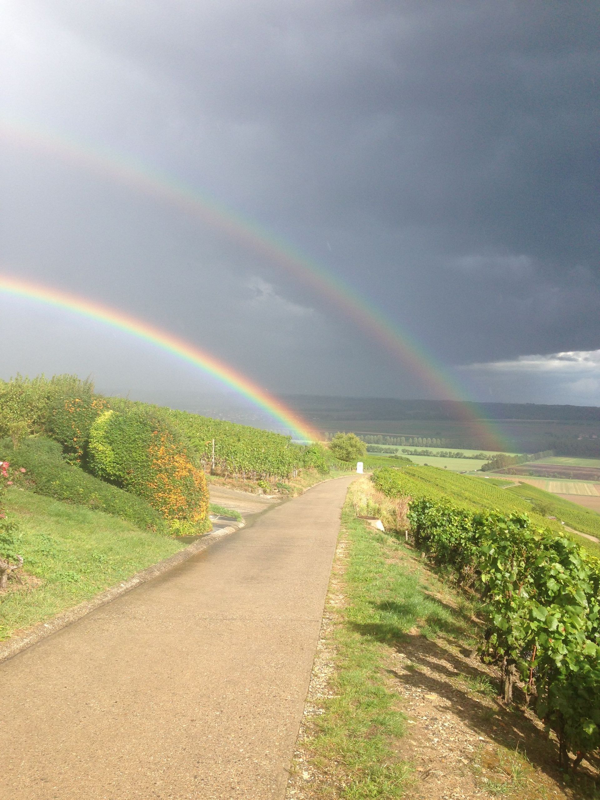 arc-en-ciel - Domaine de l'Orme