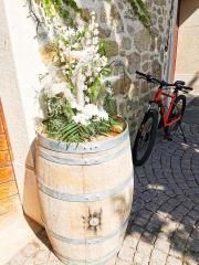 La Treille - Domaine de l'Orme