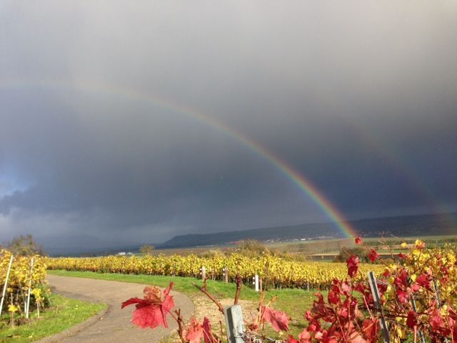 arc-en-ciel - Domaine de l'Orme