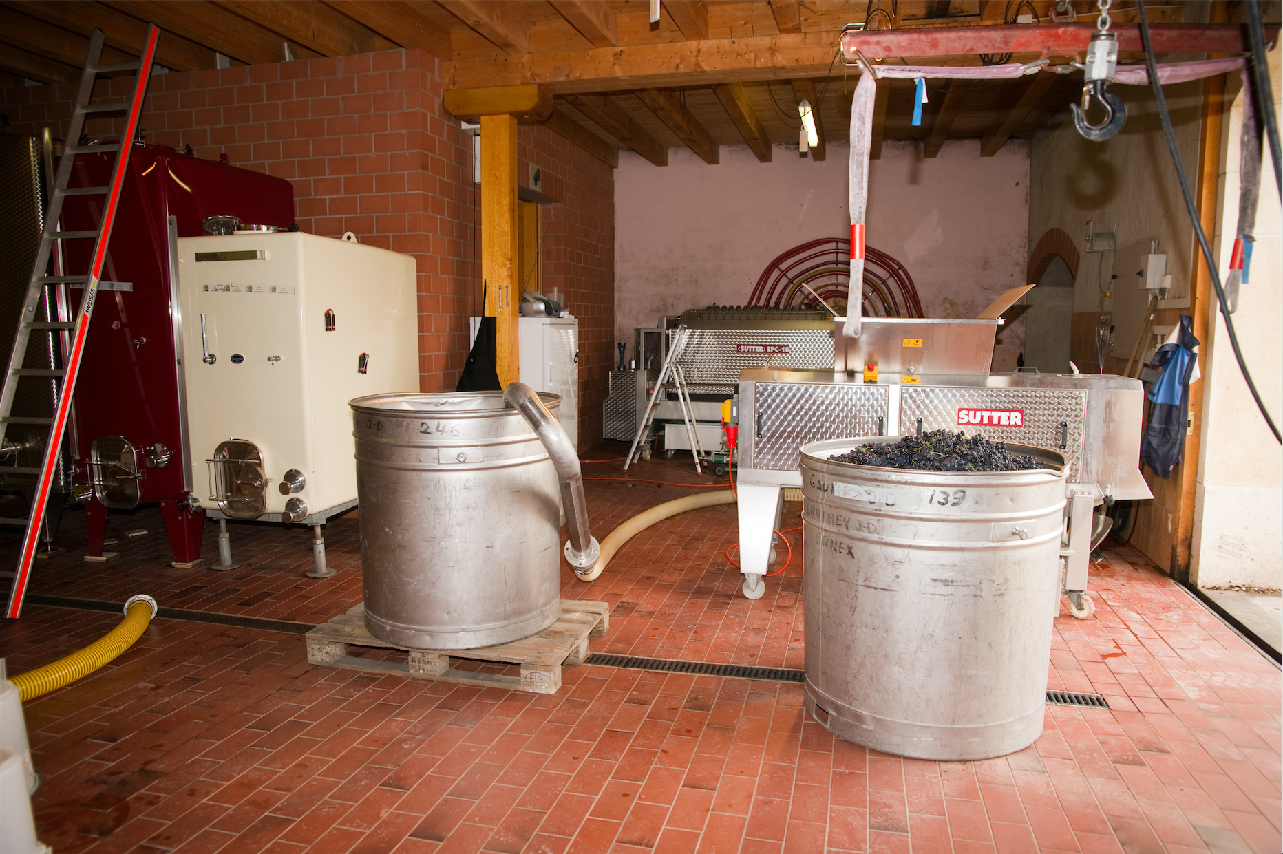 Cave - Domaine de l'Orme