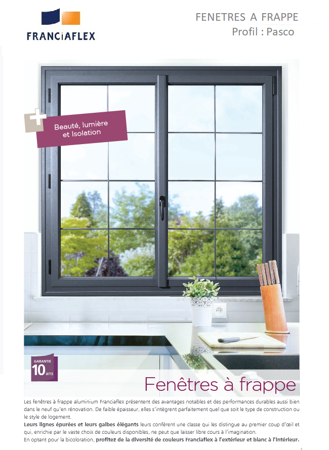 Une vitrine à motif quadrillé, cadre gris et verdure visible à travers le verre.