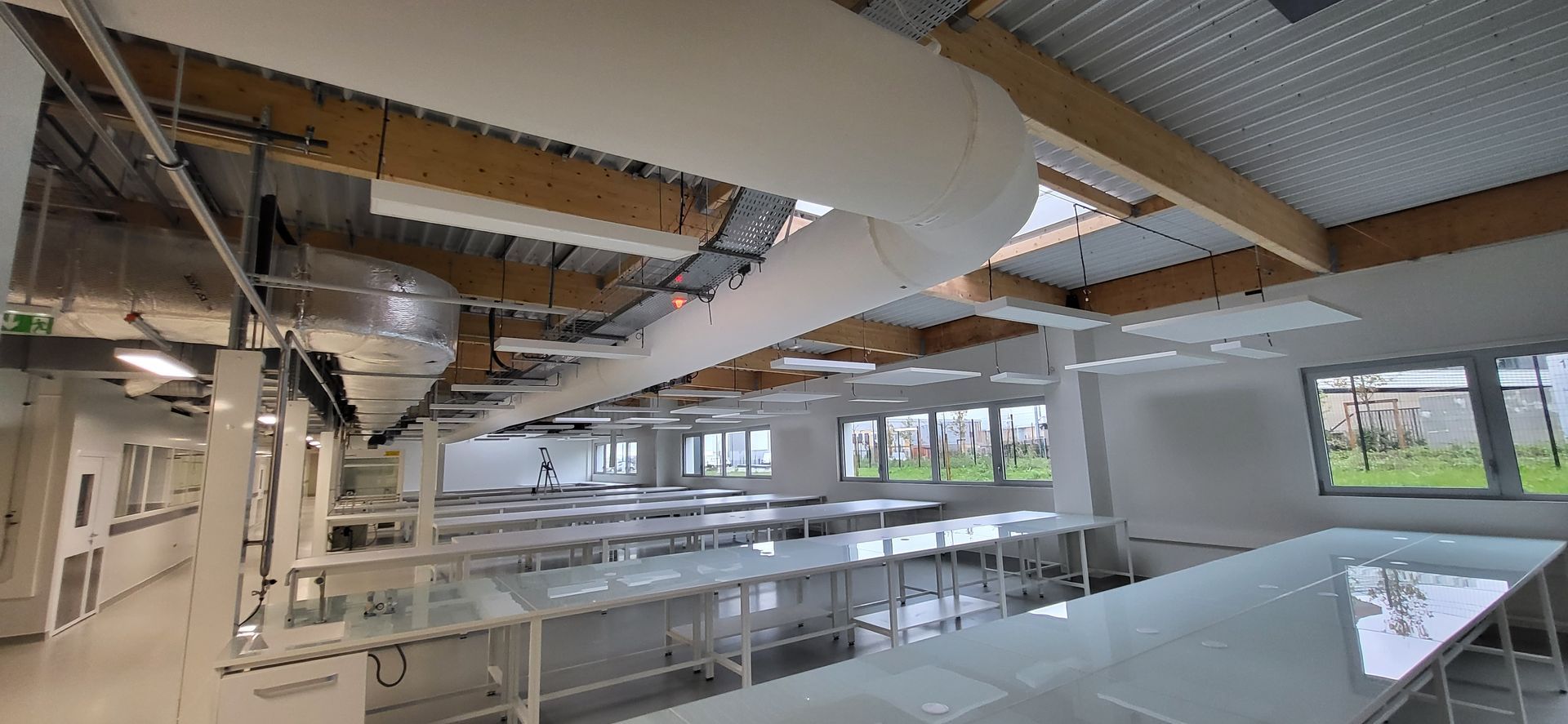 Bureau moderne à aire ouverte avec plafond apparent, longues tables et grandes fenêtres donnant sur les arbres