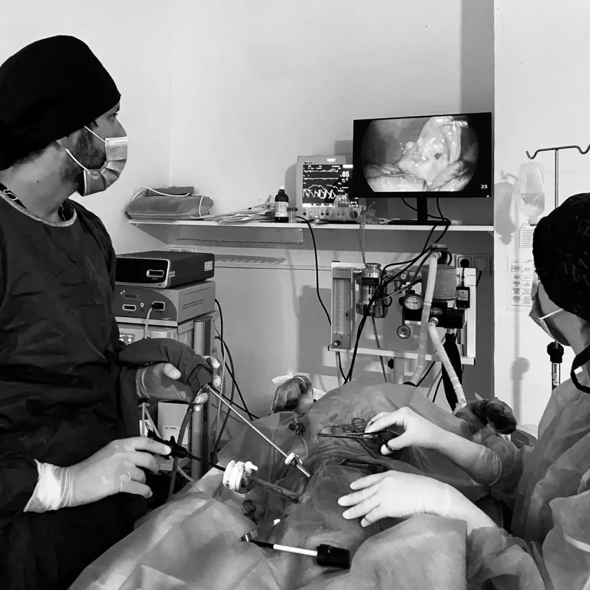 Equipo médico realizando un procedimiento mientras observa un monitor en un quirófano