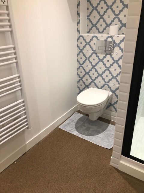 Petit coin toilettes avec WC blancs, carrelage mural bleu à motifs, tapis gris et moquette beige au sol.