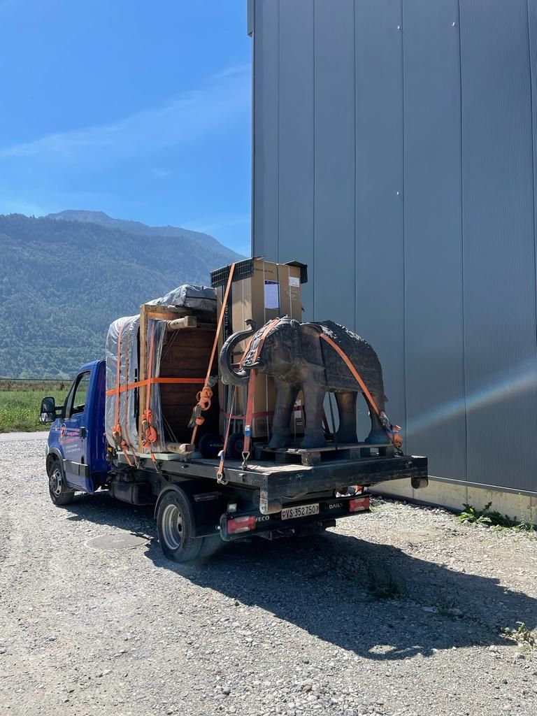 Dynamic Déménagements SA