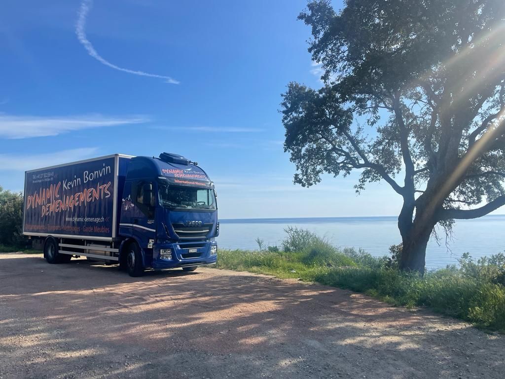 Dynamic Déménagements SA