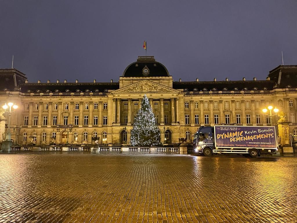 Dynamic Déménagements SA