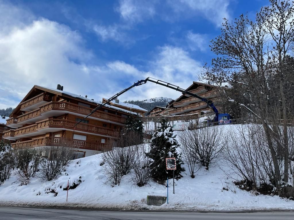 Dynamic Déménagements SA