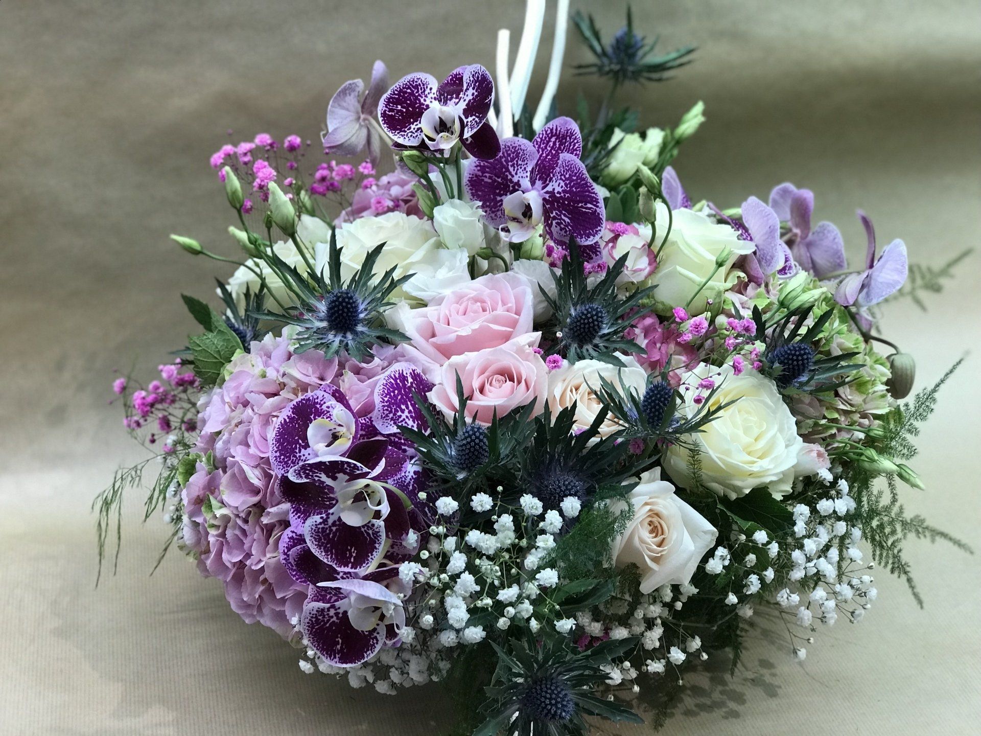 créations violettes