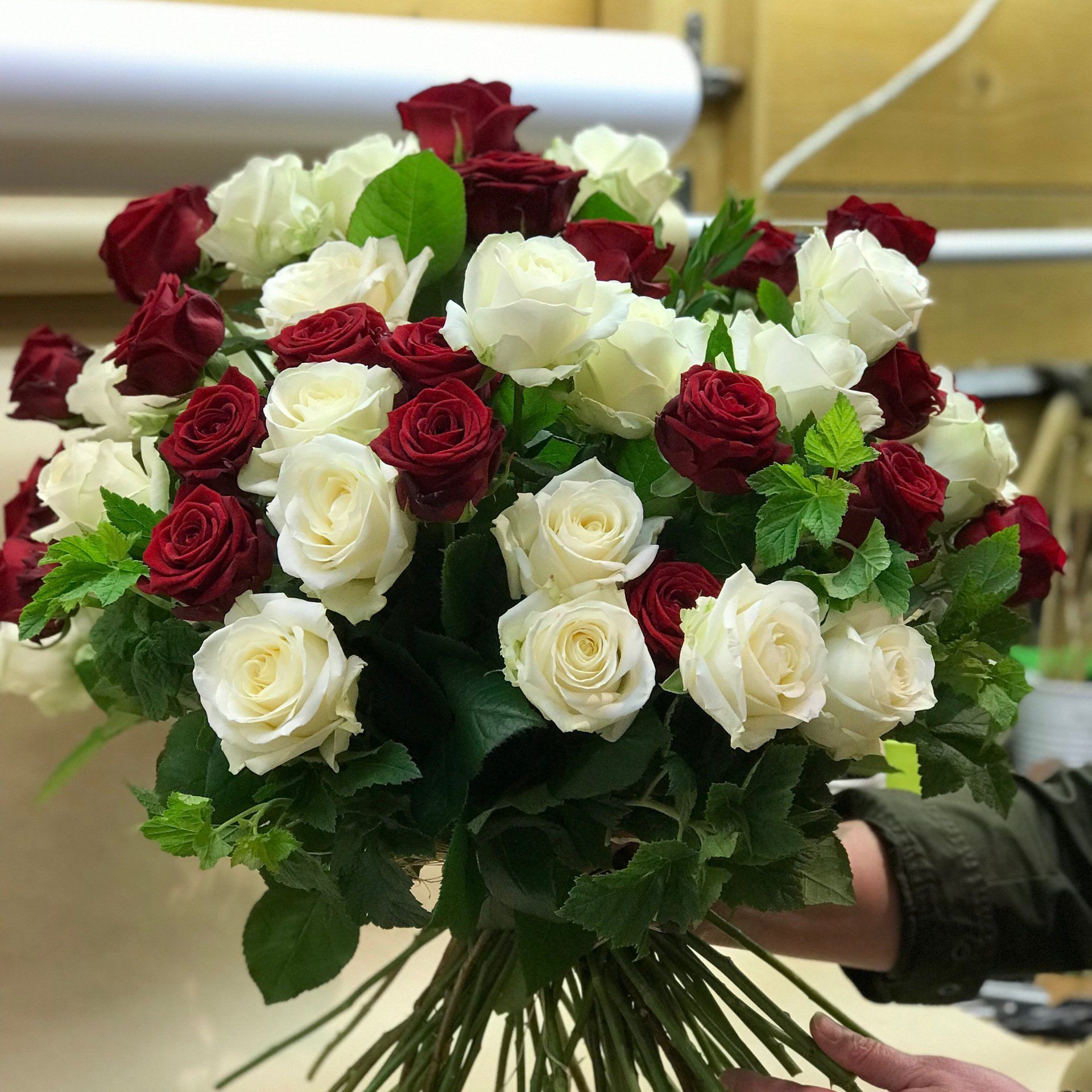 rose rouge et blanche