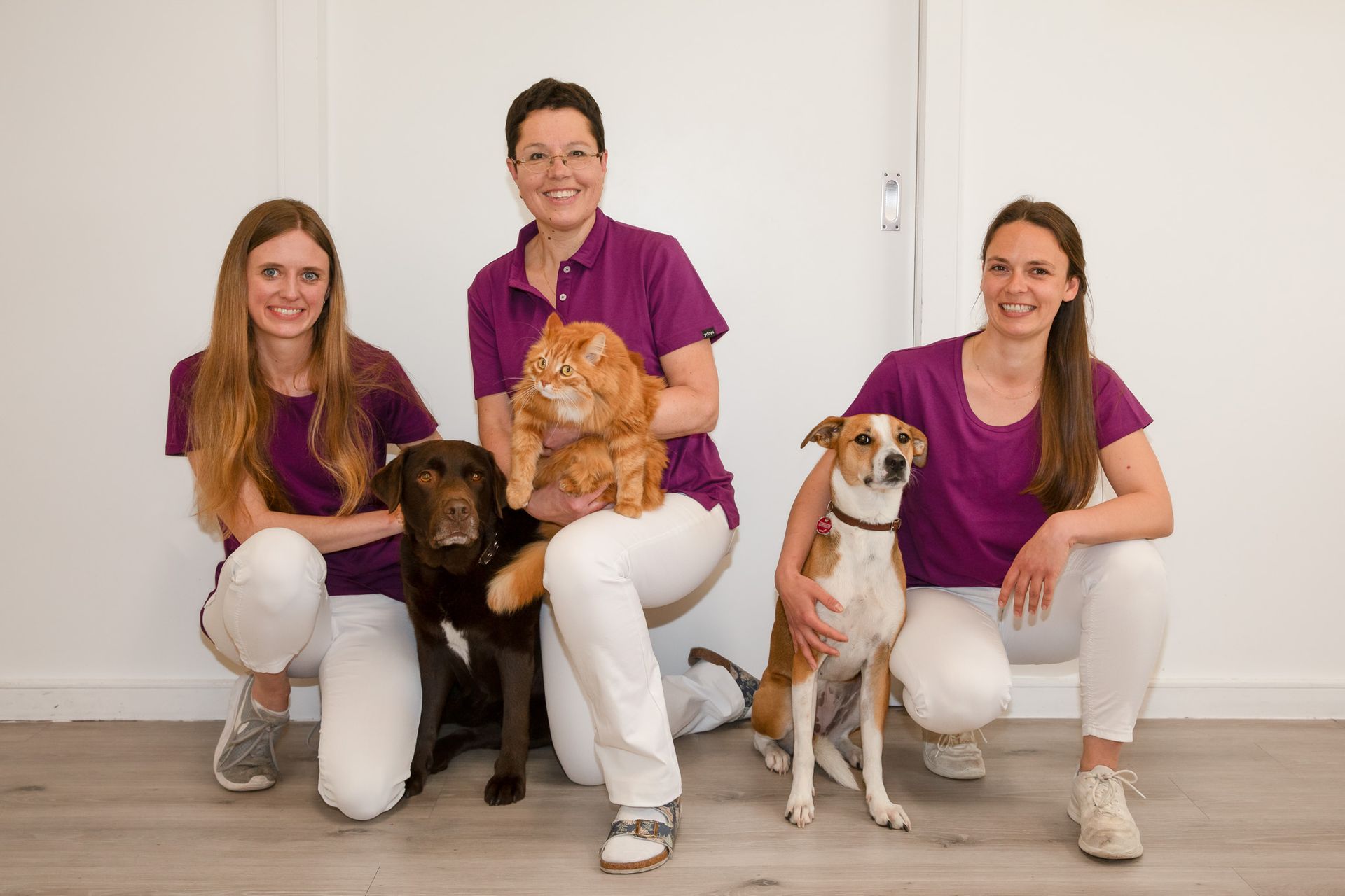 Veterinärpersonal mit einer Katze und Hunden; sie lächeln und posieren in einer Klinik.