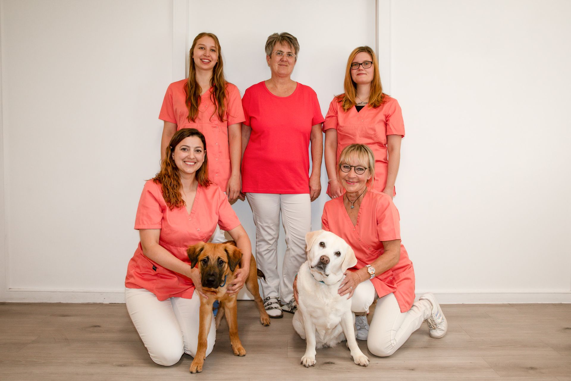 Ein Veterinärteam mit zwei Hunden posiert in einem weißen Raum; die Frauen tragen rosa Kittel und eine einen roten.